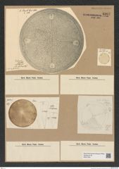 Diatomeae indet. Zeichnungen Sammlung Grunow Nr. 8207 (NHMW-BOT-W0377591)